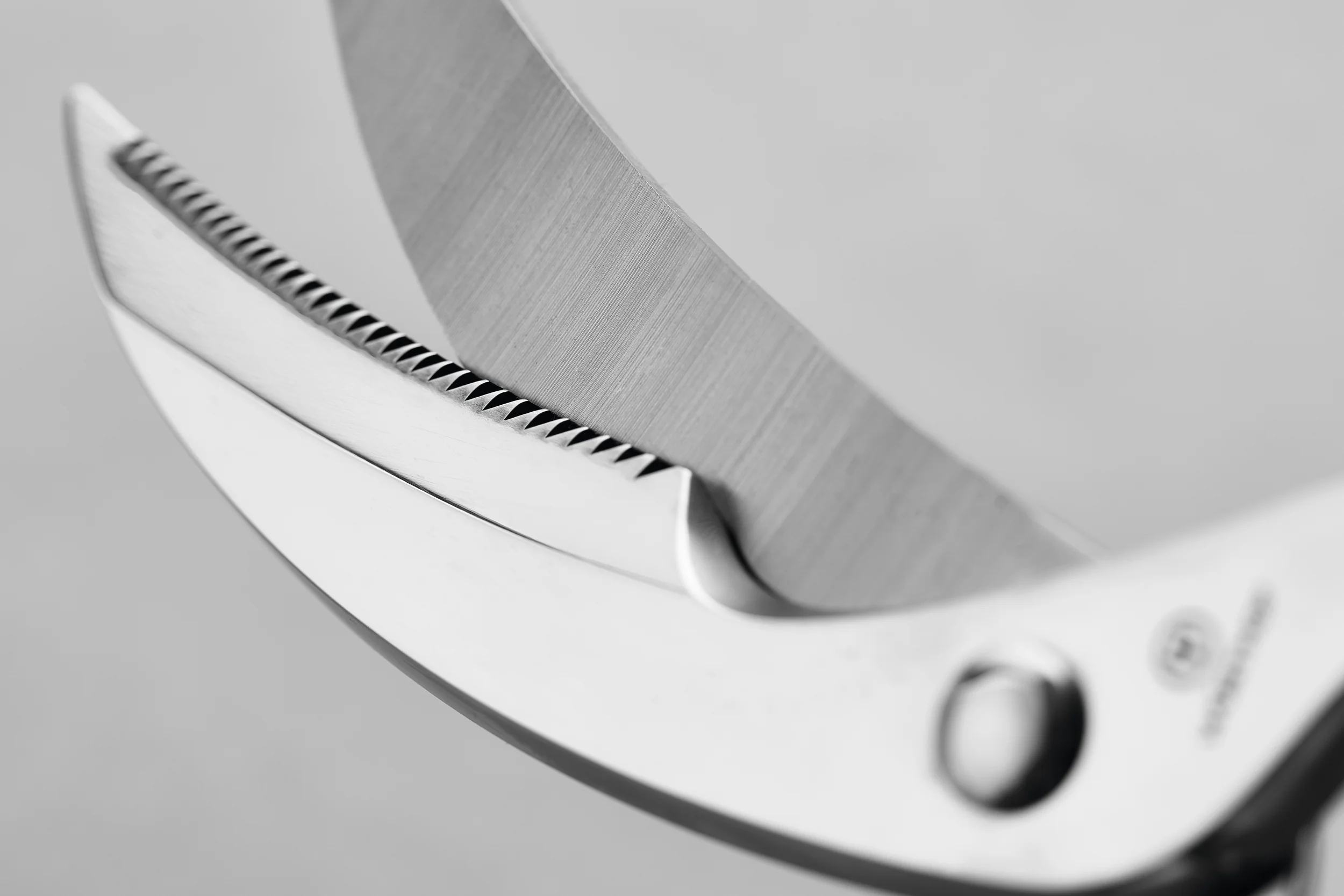Stainless Poultry shears 25 cm | 10 inch - Image 4
