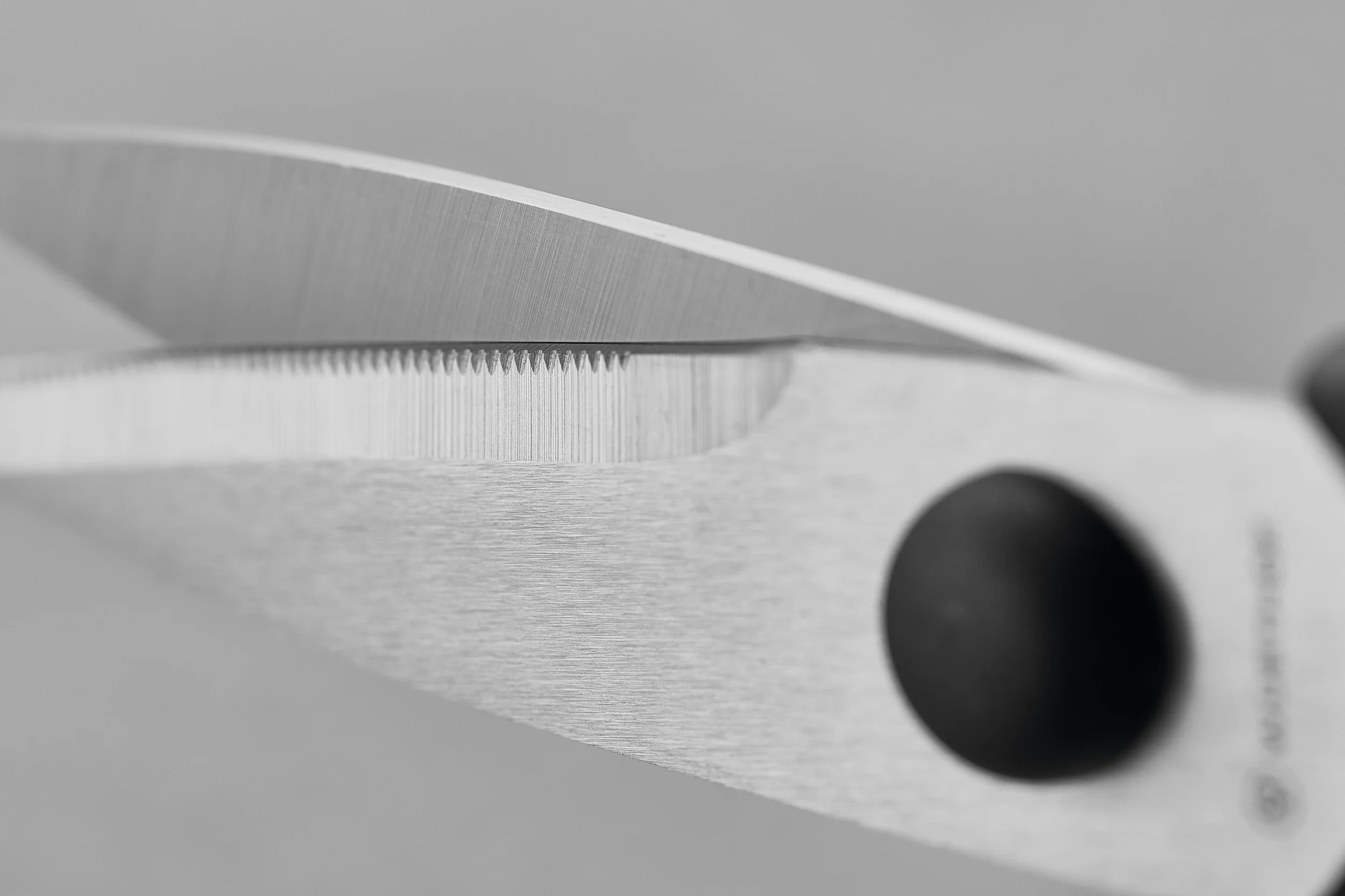 Kitchen Shears 7 cm | 2 inch | Black - Image 4